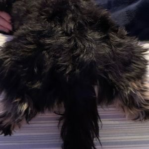 Meet your Posher, Owen